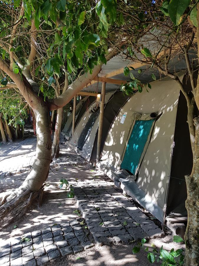 The Riverdeck Accommodation And Backpackers Найсне Экстерьер фото